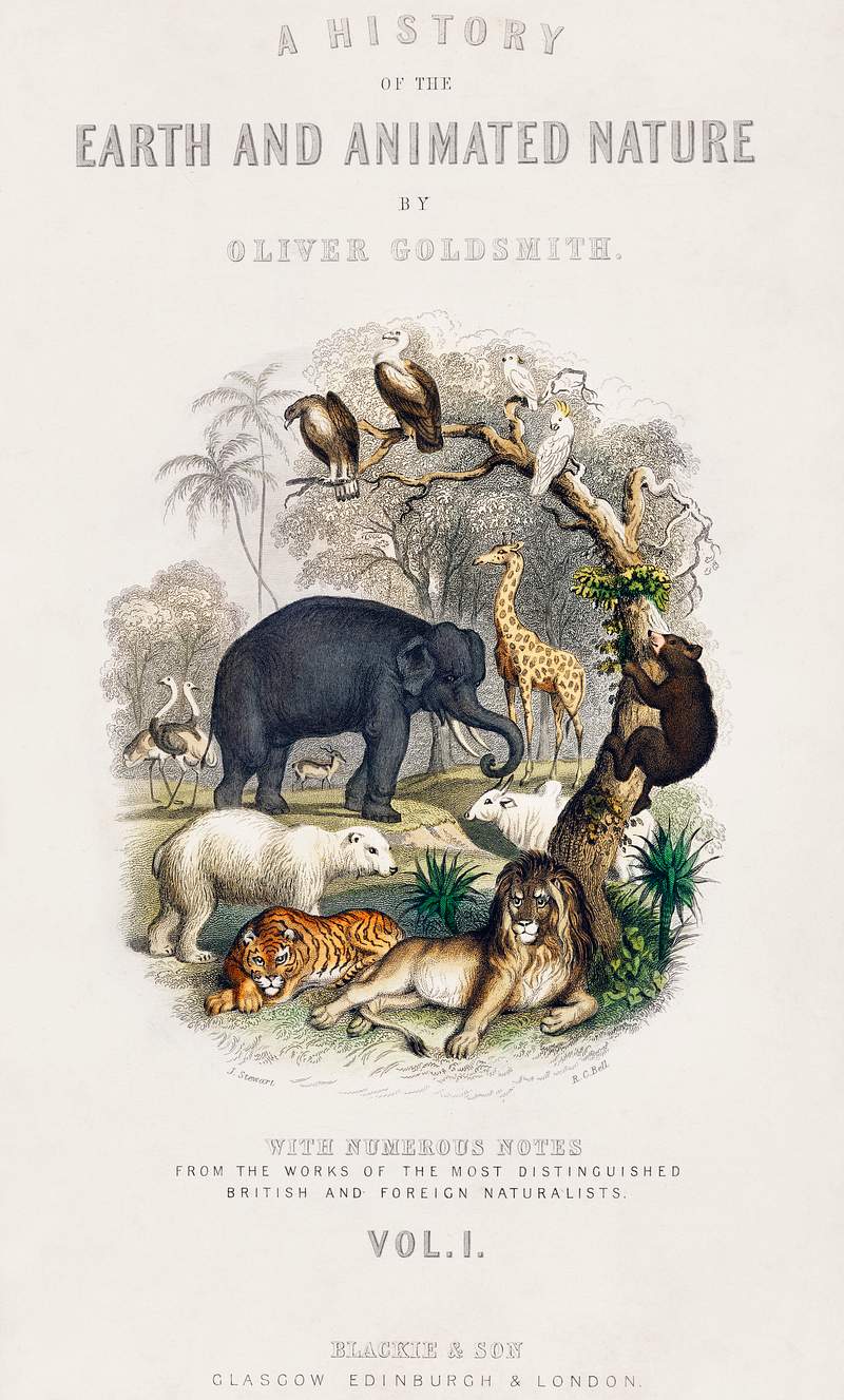 Cover of A history of the earth and animated nature (1820) by Oliver Goldsmith (1730-1774). Digitally enhanced from our own…