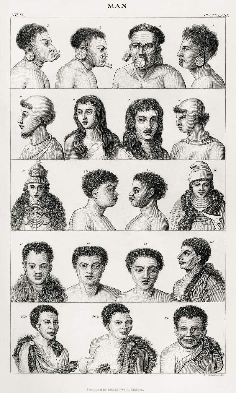 Man from A history of the earth and animated nature (1820) by Oliver Goldsmith (1730-1774). Digitally enhanced from our own…