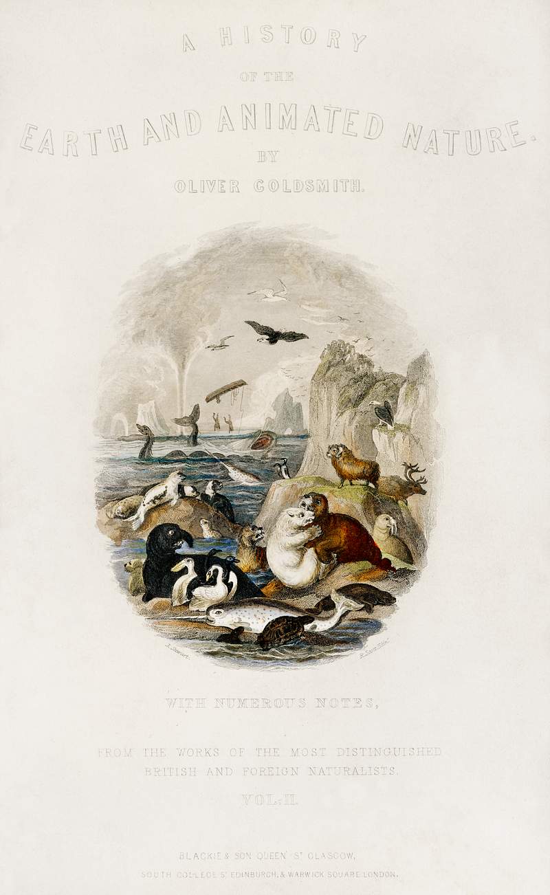 Hand drawn of animals from A history of the earth and animated nature (1820) by Oliver Goldsmith (1730-1774). Digitally…