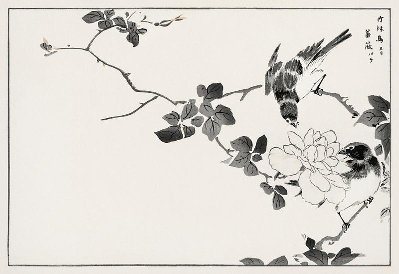 Pallas’s Blue Robin and Rose illustration from Pictorial Monograph of Birds (1885) by Numata Kashu (1838-1901). Digitally enhanced from our own original edition. Pallas’s Blue Robin and Rose illustration from Pictorial Monograph of Birds (1885) by Numata Kashu (1838-1901).…