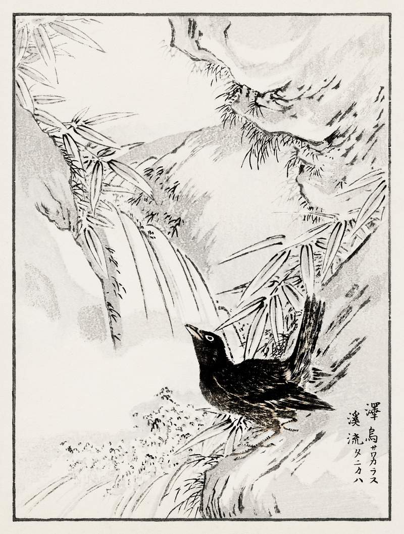 Eastern Rook and Stream illustration from Pictorial Monograph of Birds (1885) by Numata Kashu (1838-1901). Digitally enhanced…