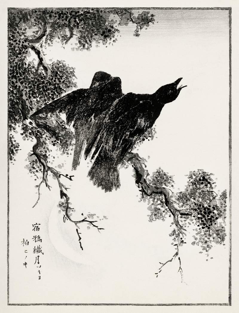 Eastern Rook and Cypress on New Moon illustration from Pictorial Monograph of Birds (1885) by Numata Kashu (1838-1901).…