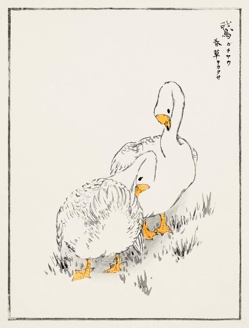 Duck and Young Grass illustration from Pictorial Monograph of Birds (1885) by Numata Kashu (1838-1901). Digitally enhanced…