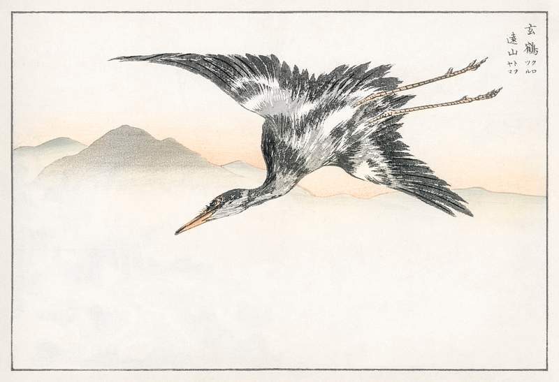 Eastern Common Crane illustration from Pictorial Monograph of Birds (1885) by Numata Kashu (1838-1901). Digitally enhanced…