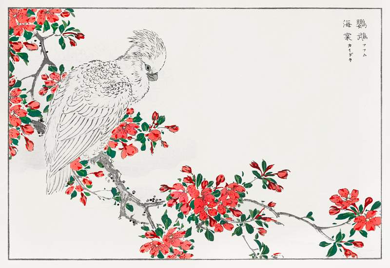 Parrot and Pyrus spectabilis illustration from Pictorial Monograph of Birds (1885) by Numata Kashu (1838-1901). Digitally…