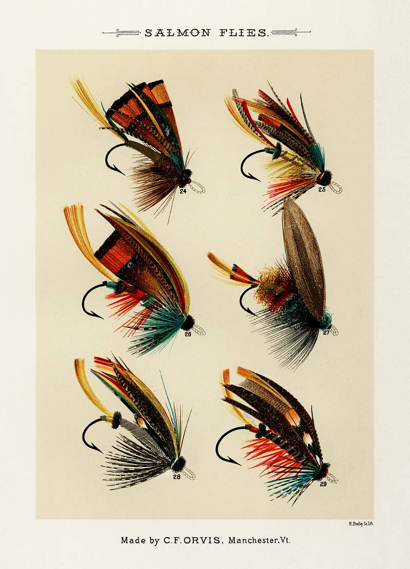 Free royalty image about Salmon Flies from Favorite Flies and Their Histories by Mary Orvis Marbury. Digitally enhanced from our own original 1892… Salmon Flies from Favorite Flies and Their Histories by Mary Orvis Marbury. Digitally enhanced from our own original 1892…