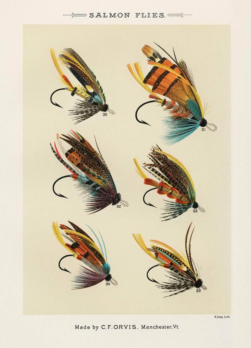 Vintage salmon flies poster Salmon Flies from Favorite Flies and Their Histories by Mary Orvis Marbury. Digitally enhanced from our own original 1892…