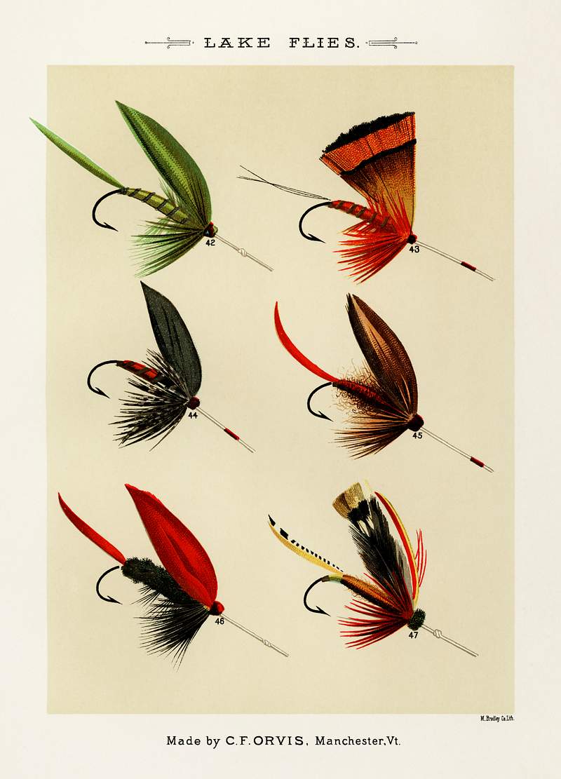 Lake Flies from Favorite Flies and Their Histories by Mary Orvis Marbury. Digitally enhanced from our own original 1892 Edition. Lake Flies from Favorite Flies and Their Histories by Mary Orvis Marbury. Digitally enhanced from our own original 1892…