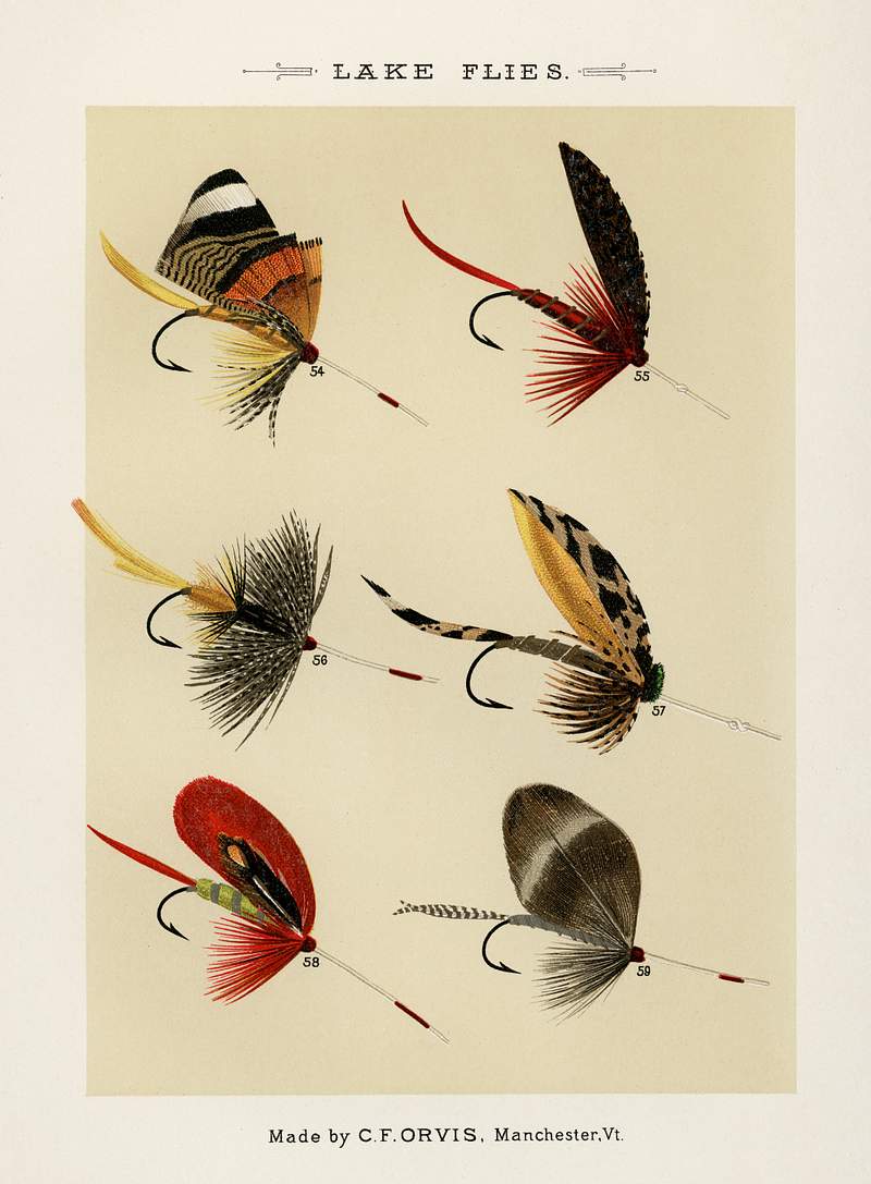 Lake Flies from Favorite Flies and Their Histories by Mary Orvis Marbury. Digitally enhanced from our own original 1892 Edition. Lake Flies from Favorite Flies and Their Histories by Mary Orvis Marbury. Digitally enhanced from our own original 1892…
