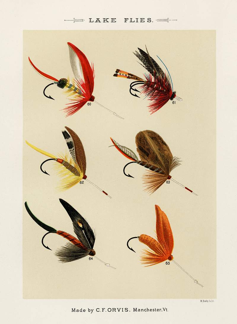 Lake Flies from Favorite Flies and Their Histories by Mary Orvis Marbury. Digitally enhanced from our own original 1892 Edition. Lake Flies from Favorite Flies and Their Histories by Mary Orvis Marbury. Digitally enhanced from our own original 1892…
