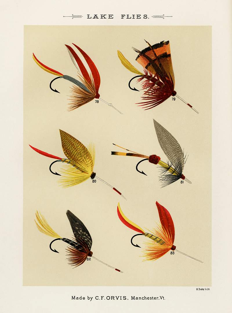 Lake Flies from Favorite Flies and Their Histories by Mary Orvis Marbury. Digitally enhanced from our own original 1892 Edition. Lake Flies from Favorite Flies and Their Histories by Mary Orvis Marbury. Digitally enhanced from our own original 1892…