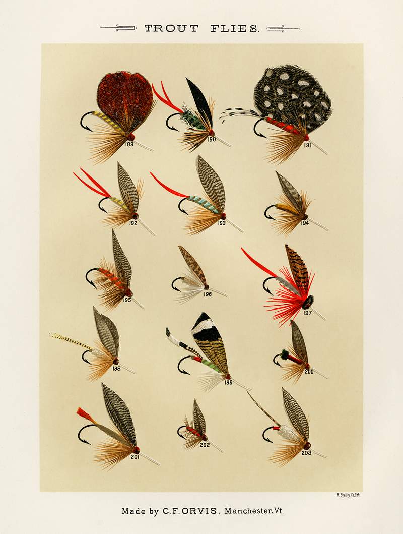 Trout Flies from Favorite Flies and Their Histories by Mary Orvis Marbury. Digitally enhanced from our own original 1892 Edition. Trout Flies from Favorite Flies and Their Histories by Mary Orvis Marbury. Digitally enhanced from our own original 1892…