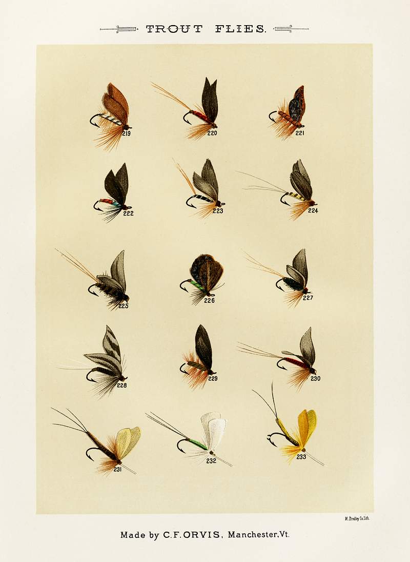 Trout Flies from Favorite Flies and Their Histories by Mary Orvis Marbury. Digitally enhanced from our own original 1892 Edition. Trout Flies from Favorite Flies and Their Histories by Mary Orvis Marbury. Digitally enhanced from our own original 1892…
