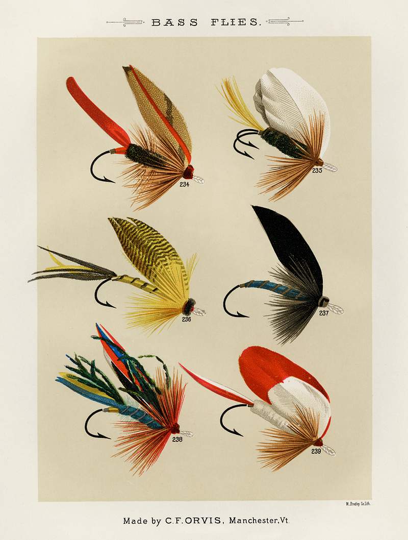 Bass Flies from Favorite Flies and Their Histories by Mary Orvis Marbury. Digitally enhanced from our own original 1892 Edition. Bass Flies from Favorite Flies and Their Histories by Mary Orvis Marbury. Digitally enhanced from our own original 1892…