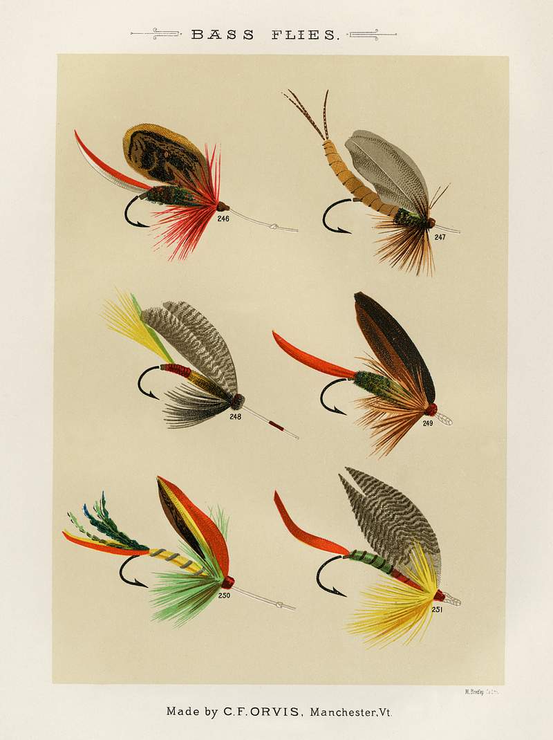 Bass Flies from Favorite Flies and Their Histories by Mary Orvis Marbury. Digitally enhanced from our own original 1892 Edition. Bass Flies from Favorite Flies and Their Histories by Mary Orvis Marbury. Digitally enhanced from our own original 1892…