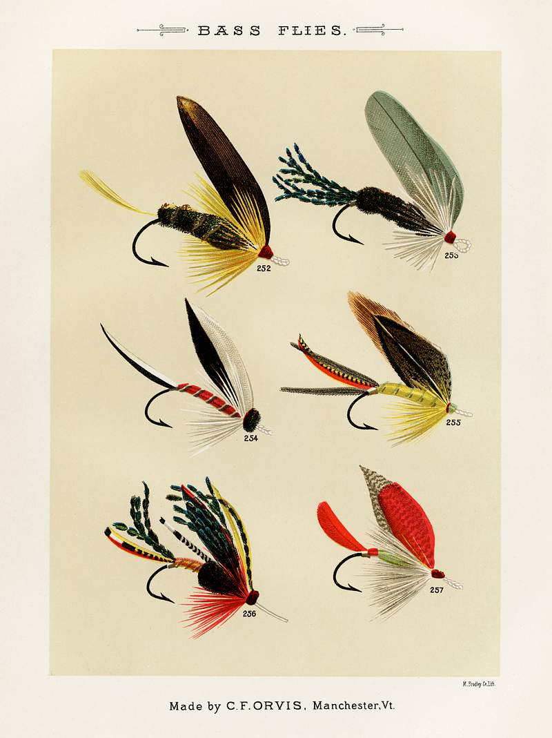 Bass Flies from Favorite Flies and Their Histories by Mary Orvis Marbury. Digitally enhanced from our own original 1892 Edition. Bass Flies from Favorite Flies and Their Histories by Mary Orvis Marbury. Digitally enhanced from our own original 1892…