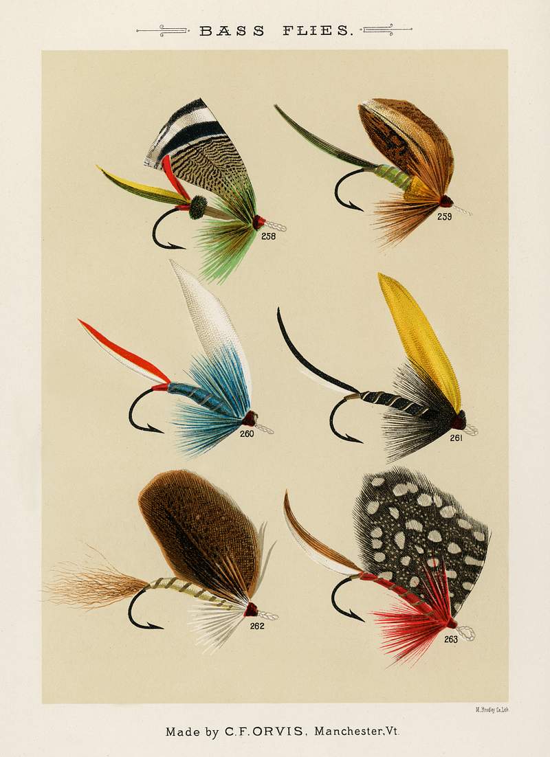 Bass Flies from Favorite Flies and Their Histories by Mary Orvis Marbury. Digitally enhanced from our own original 1892 Edition. Bass Flies from Favorite Flies and Their Histories by Mary Orvis Marbury. Digitally enhanced from our own original 1892…