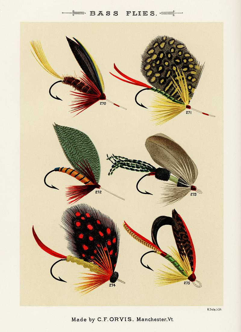 Bass Flies from Favorite Flies and Their Histories by Mary Orvis Marbury. Digitally enhanced from our own original 1892 Edition. Bass Flies from Favorite Flies and Their Histories by Mary Orvis Marbury. Digitally enhanced from our own original 1892…