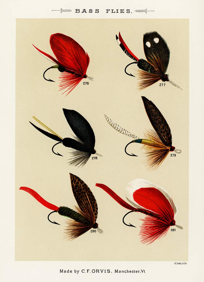 Bass Flies From Favorite Flies Free Photo Rawpixel bass-flies-from-favorite-flies-free-photo-rawpixel