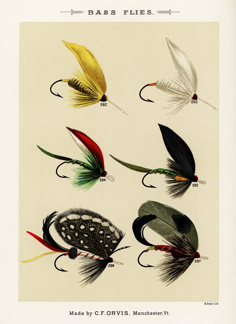 Bass Flies from Favorite Flies and Their Histories by Mary Orvis Marbury. Digitally enhanced from our own original 1892 Edition. Bass Flies from Favorite Flies and Their Histories by Mary Orvis Marbury. Digitally enhanced from our own original 1892…