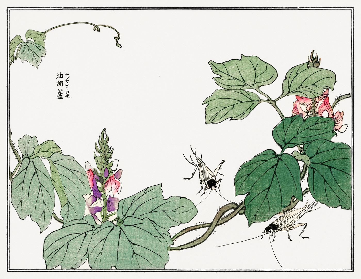 Leaf and flower illustration from Churui Gafu (1910) by Morimoto Toko. Digitally enhanced from our own original edition. Leaf and flower illustration from Churui Gafu (1910) by Morimoto Toko. Digitally enhanced from our own original edition.