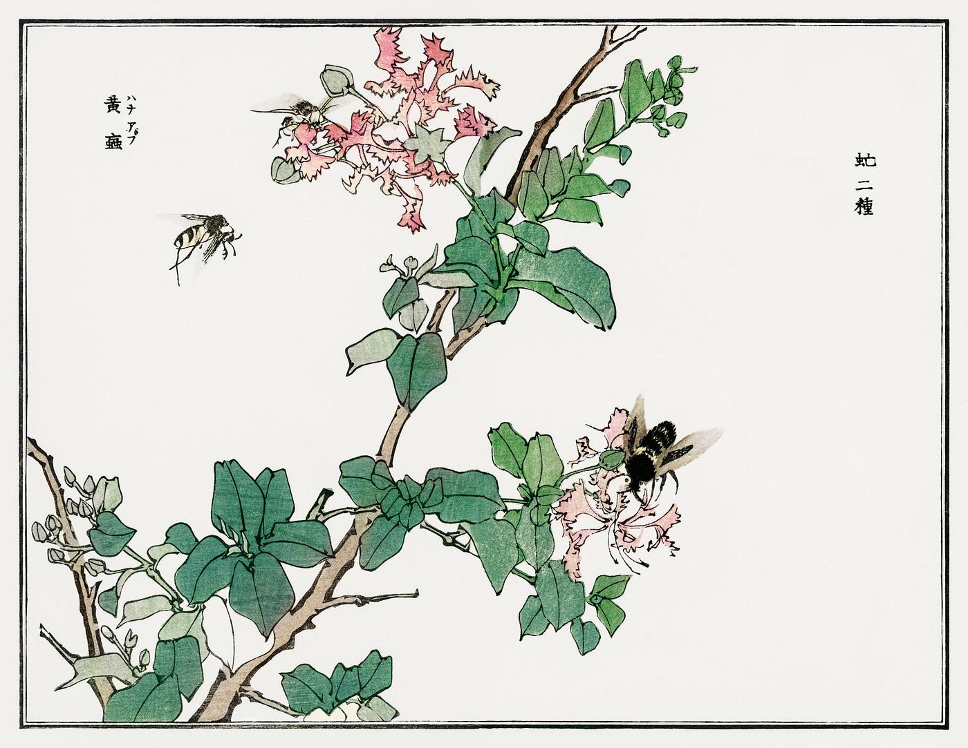 Horsefly illustration from Churui Gafu (1910) by Morimoto Toko. Digitally enhanced from our own original edition. Horsefly illustration from Churui Gafu (1910) by Morimoto Toko. Digitally enhanced from our own original edition.