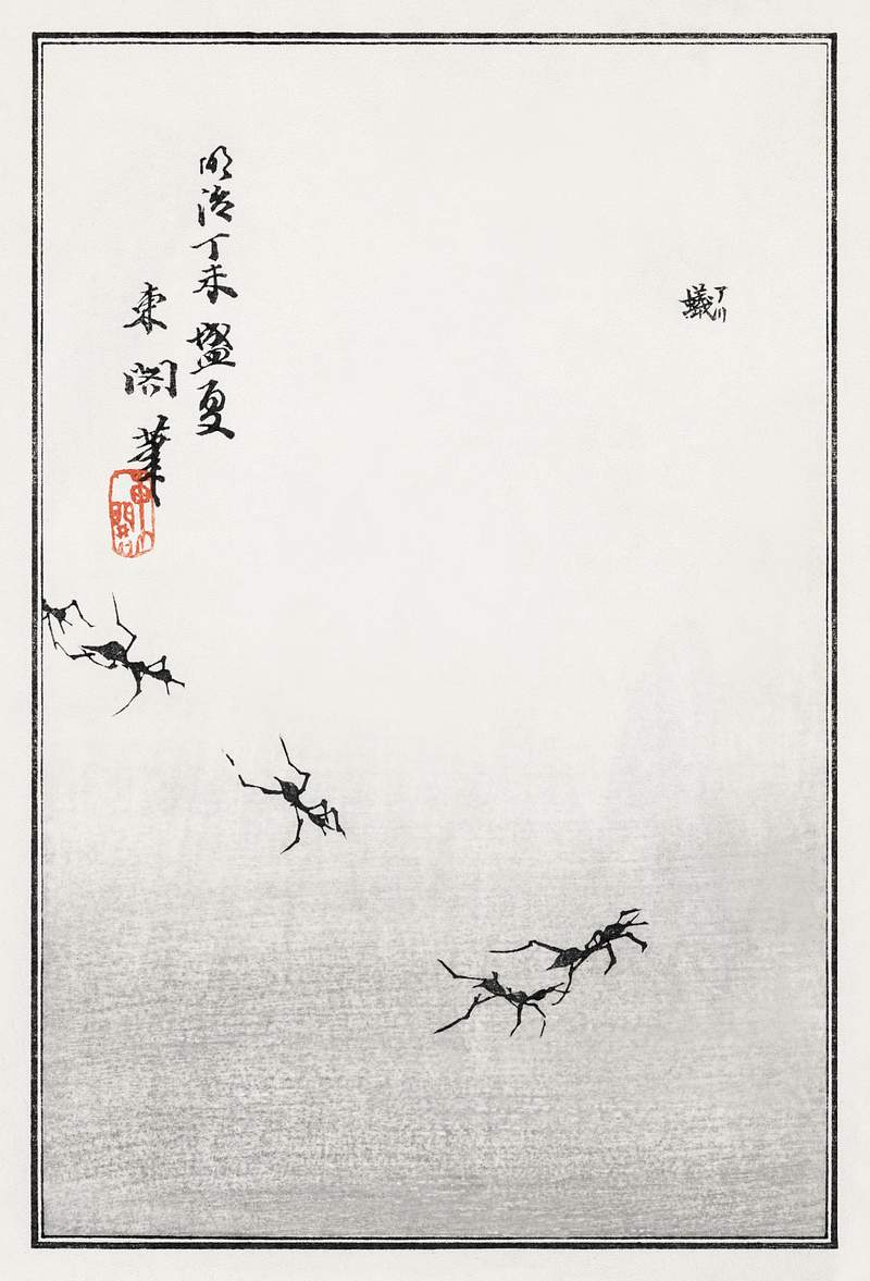 Trail of ants Ants trail illustration from Churui Gafu (1910) by Morimoto Toko. Digitally enhanced from our own original edition.