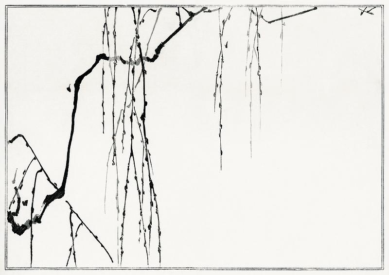 Japanese hanging branches drawing Tree branches. Illustration from Seitei Kacho Gafu (1890–1891) by Wantanabe Seitei, a prominent Kacho-ga artist.…