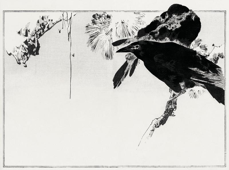 Japanese crows drawing Japanese crows perched on a branch. Illustration from Seitei Kacho Gafu (1890–1891) by Wantanabe Seitei, a prominent…