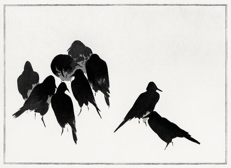 Japanese crows drawing Japanese crows, illustration from Seitei Kacho Gafu (1890–1891) by Wantanabe Seitei, a prominent Kacho-ga artist.…