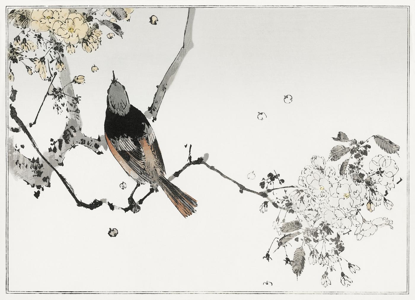 Perched Japanese swallow. Illustration from Seitei Kacho Gafu (1890–1891) by Wantanabe Seitei, a prominent Kacho-ga... Perched Japanese swallow. Illustration from Seitei Kacho Gafu (1890–1891) by Wantanabe Seitei, a prominent Kacho-ga...