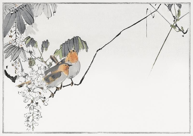 Japanese sparrows on a branch Two sparrows perched on a branch. Illustration from Seitei Kacho Gafu (1890–1891) by Wantanabe Seitei, a prominent…