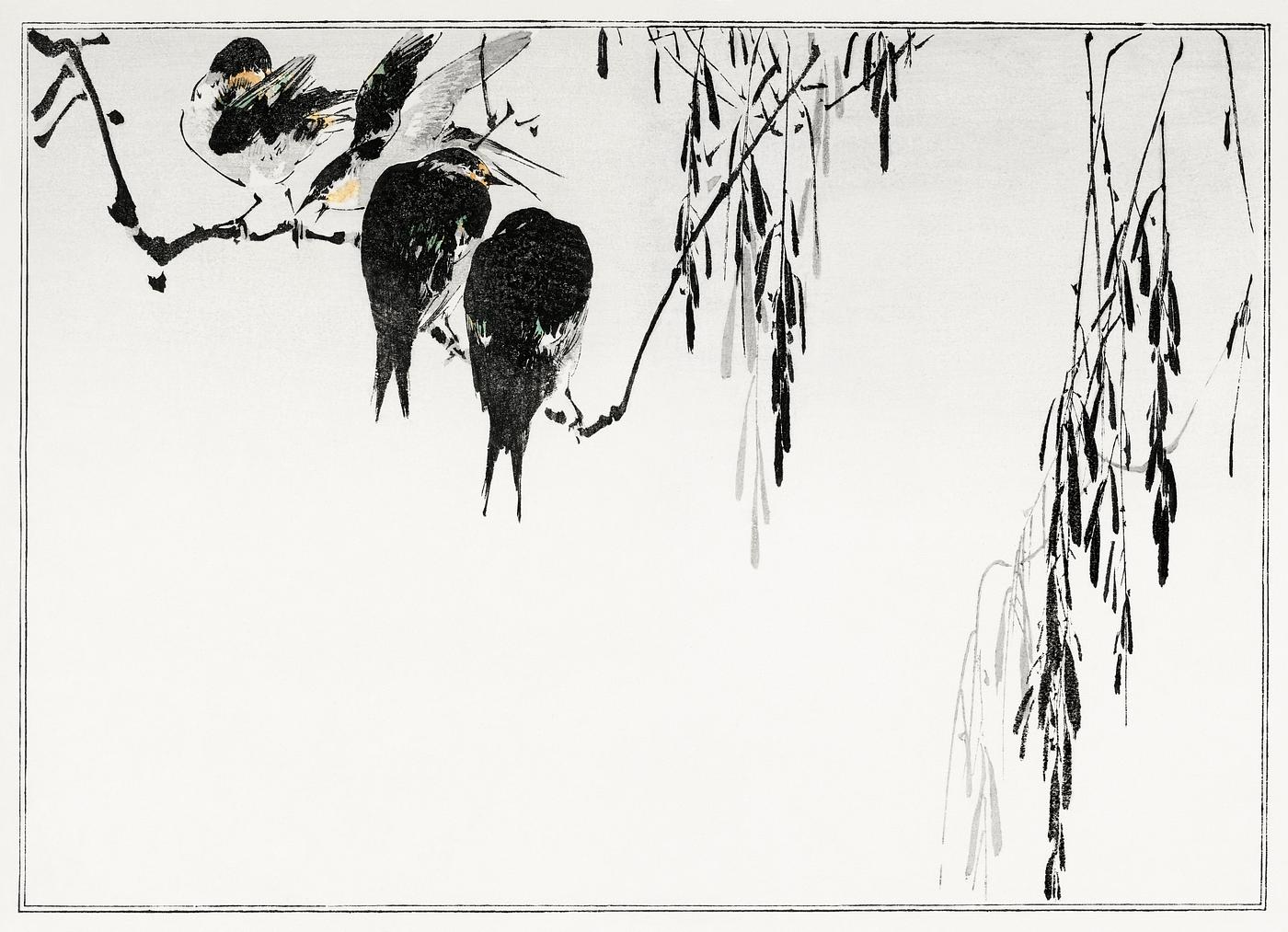 Perched magpies. Illustration from Seitei Kacho Gafu (1890–1891) by Wantanabe Seitei, a prominent Kacho-ga artist.... Perched magpies. Illustration from Seitei Kacho Gafu (1890–1891) by Wantanabe Seitei, a prominent Kacho-ga artist....