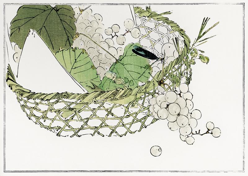 Grapes in a basket Basket of grapes from Seitei Kacho Gafu (1890–1891) by Wantanabe Seitei, a prominent Kacho-ga artist. Digitally…