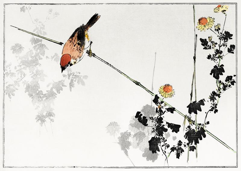 Red swallow bird Japanese swallow bird, illustration from Seitei Kacho Gafu (1890–1891) by Wantanabe Seitei, a prominent Kacho-ga…