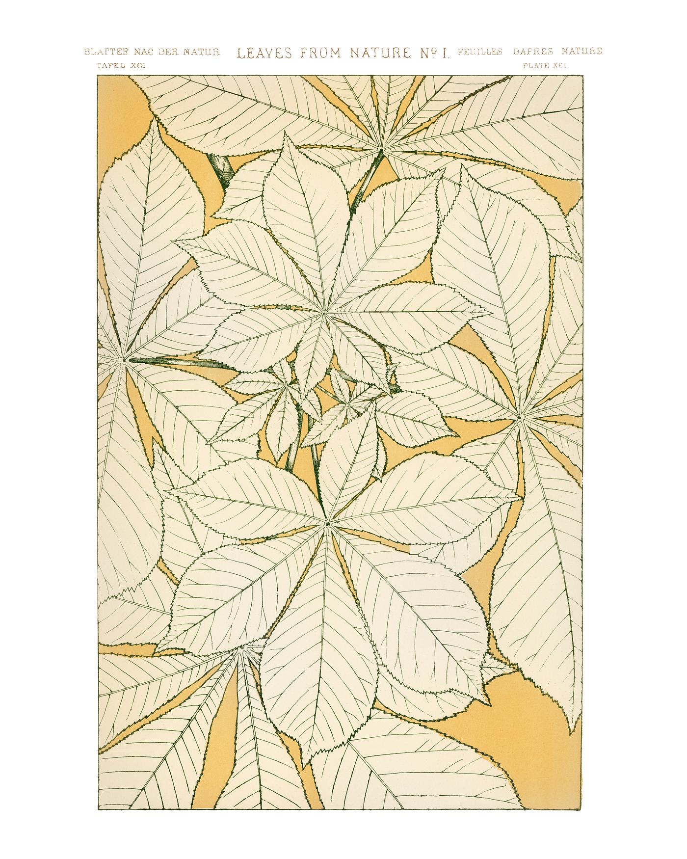 Owen Jones famous 19th Century Grammar of Ornament. One of the finest graphic design books ever produced. From our own... Owen Jones famous 19th Century Grammar of Ornament. One of the finest graphic design books ever produced. From our own...