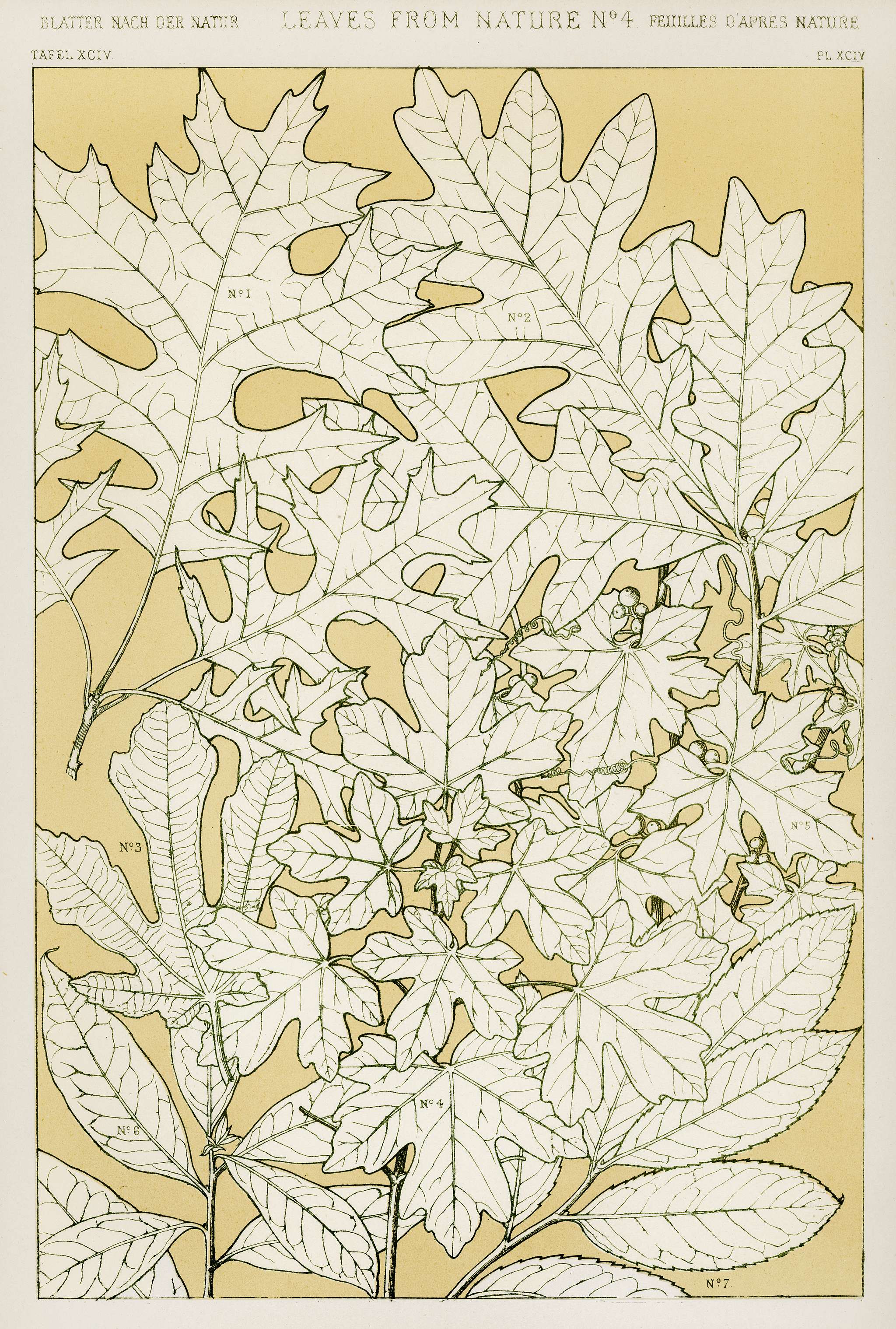 Owen Jones famous 19th Century Grammar of Ornament. One of the finest graphic design books ever produced. From our own... Owen Jones famous 19th Century Grammar of Ornament. One of the finest graphic design books ever produced. From our own...