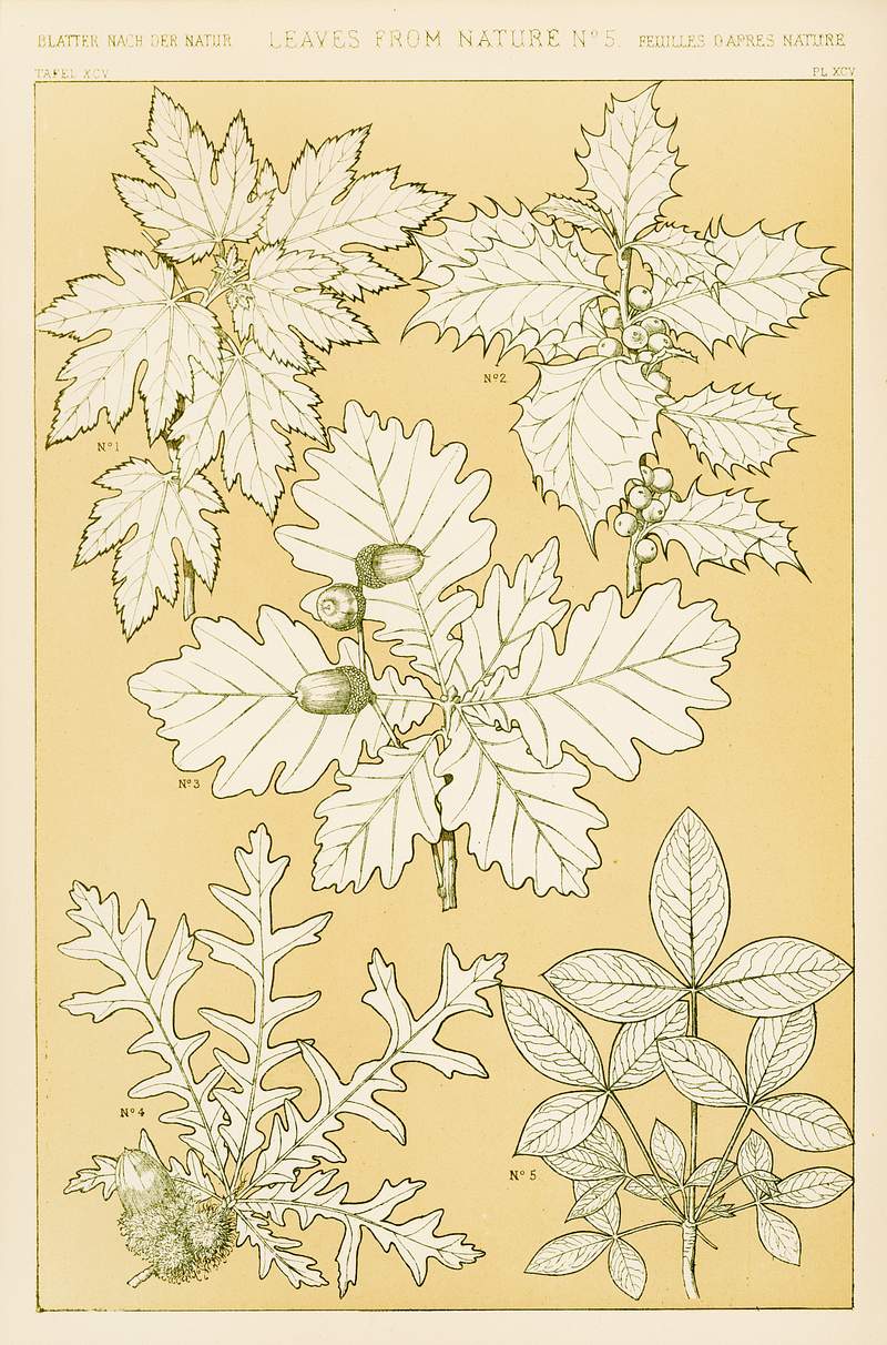 Owen Jones famous 19th Century Grammar of Ornament. One of the finest graphic design books ever produced. From our own original antique chromolithographic version of the famous book we have created a high resolution digitally enhanced copy for you. Owen Jones famous 19th Century Grammar of Ornament. One of the finest graphic design books ever produced. From our own…