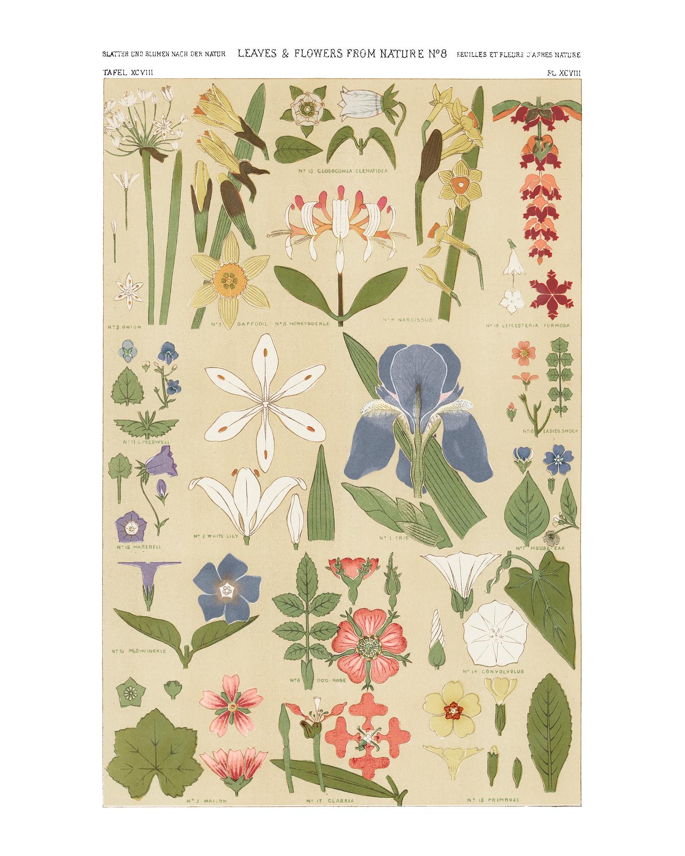 Owen Jones famous 19th Century Grammar of Ornament. One of the finest graphic design books ever produced. From our own... Owen Jones famous 19th Century Grammar of Ornament. One of the finest graphic design books ever produced. From our own...