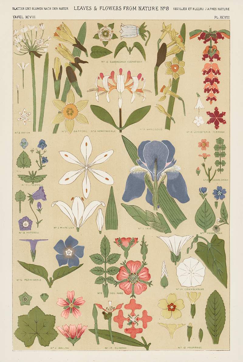 Owen Jones famous 19th Century Grammar of Ornament. One of the finest graphic design books ever produced. From our own original antique chromolithographic version of the famous book we have created a high resolution digitally enhanced copy for you. Owen Jones famous 19th Century Grammar of Ornament. One of the finest graphic design books ever produced. From our own…