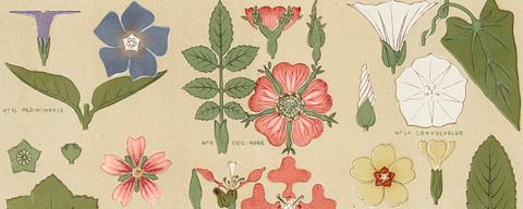 Antique illustration of the grammar of ornament by Owen Jones Antique illustration of the grammar of ornament by Owen Jones - abstract, antique, art, banner, blatter nach der nature…