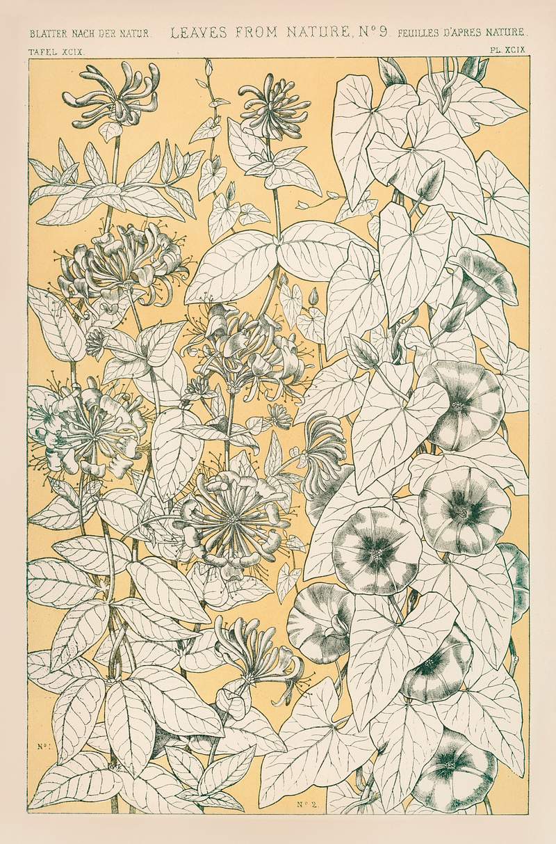 Owen Jones famous 19th Century Grammar of Ornament. One of the finest graphic design books ever produced. From our own original antique chromolithographic version of the famous book we have created a high resolution digitally enhanced copy for you. Owen Jones famous 19th Century Grammar of Ornament. One of the finest graphic design books ever produced. From our own…