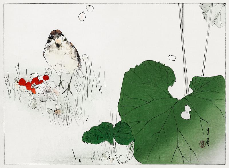 Bird eating cherry blossoms Eurasian tree sparrow illustration from Bijutsu Sekai (1893-1896) by Watanabe Seitei, a prominent Kacho-ga artist. Digitally…