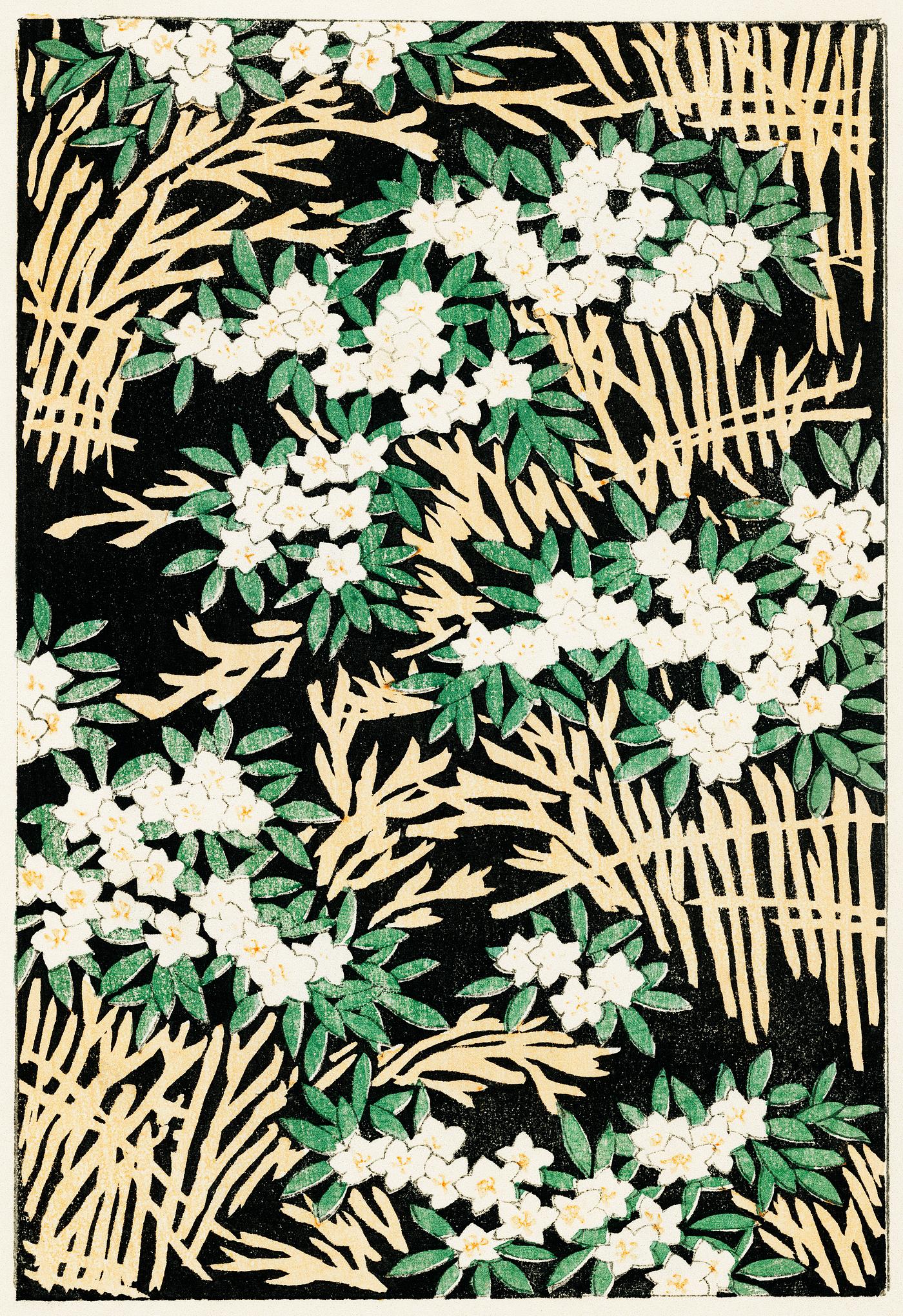 Forest illustration from Bijutsu Sekai (1893-1896) by Watanabe Seitei, a prominent Kacho-ga artist. Digitally enhanced from... Forest illustration from Bijutsu Sekai (1893-1896) by Watanabe Seitei, a prominent Kacho-ga artist. Digitally enhanced from...