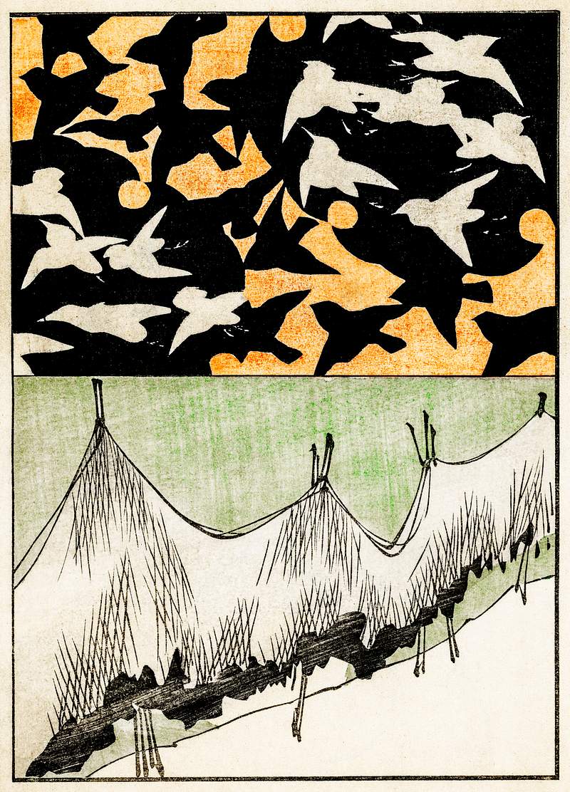 Forest life illustration from Bijutsu Sekai (1893-1896) by Watanabe Seitei, a prominent Kacho-ga artist. Digitally enhanced…