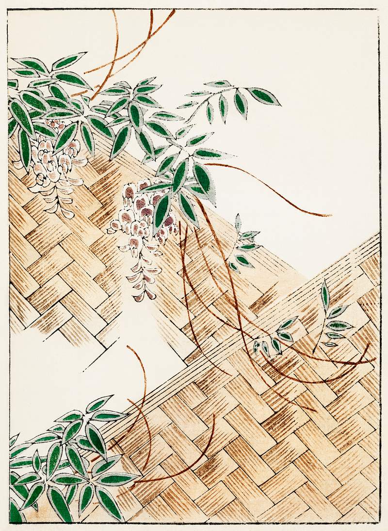 Wisteria illustration from Bijutsu Sekai (1893-1896) by Watanabe Seitei, a prominent Kacho-ga artist. Digitally enhanced from…