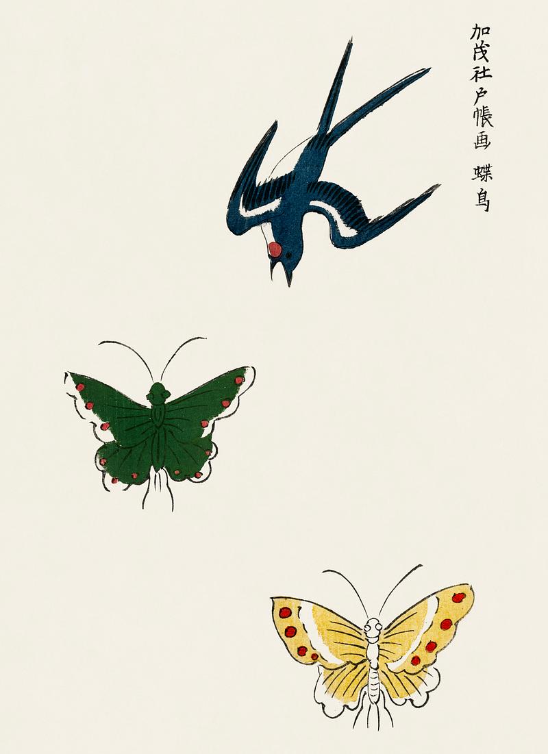 Japanese vintage original woodblock print of swallow and butterflies from Yatsuo no tsubaki (1860-1869) by Taguchi Tomoki. Digitally enhanced from our own antique woodblock print. Japanese vintage original woodblock print of swallow and butterflies from Yatsuo no tsubaki (1860-1869) by Taguchi Tomoki.…