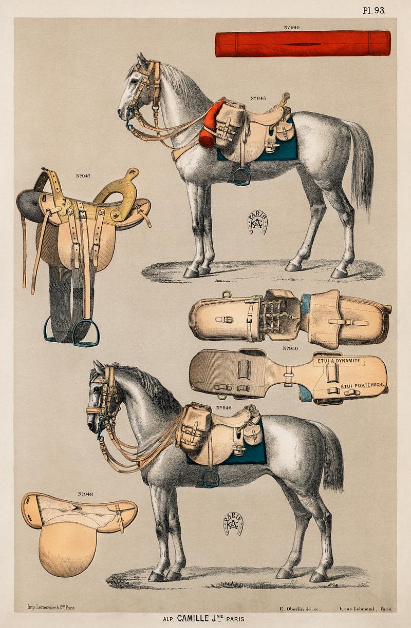 A chromolithograph of horses with antique horseback riding equipments from an antique horseback riding catalog (1890). Digitally enhanced from our own original plate. A chromolithograph of horses with antique horseback riding equipments from an antique horseback riding catalog (1890).…