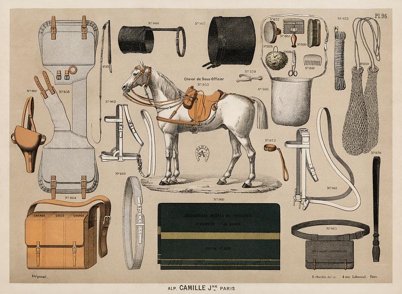 A chromolithograph of horses with antique horseback riding equipments (1890), from an antique horseback riding catalog. Digitally enhanced from our own original plate. A chromolithograph of horses with antique horseback riding equipments (1890), from an antique horseback riding catalog.…