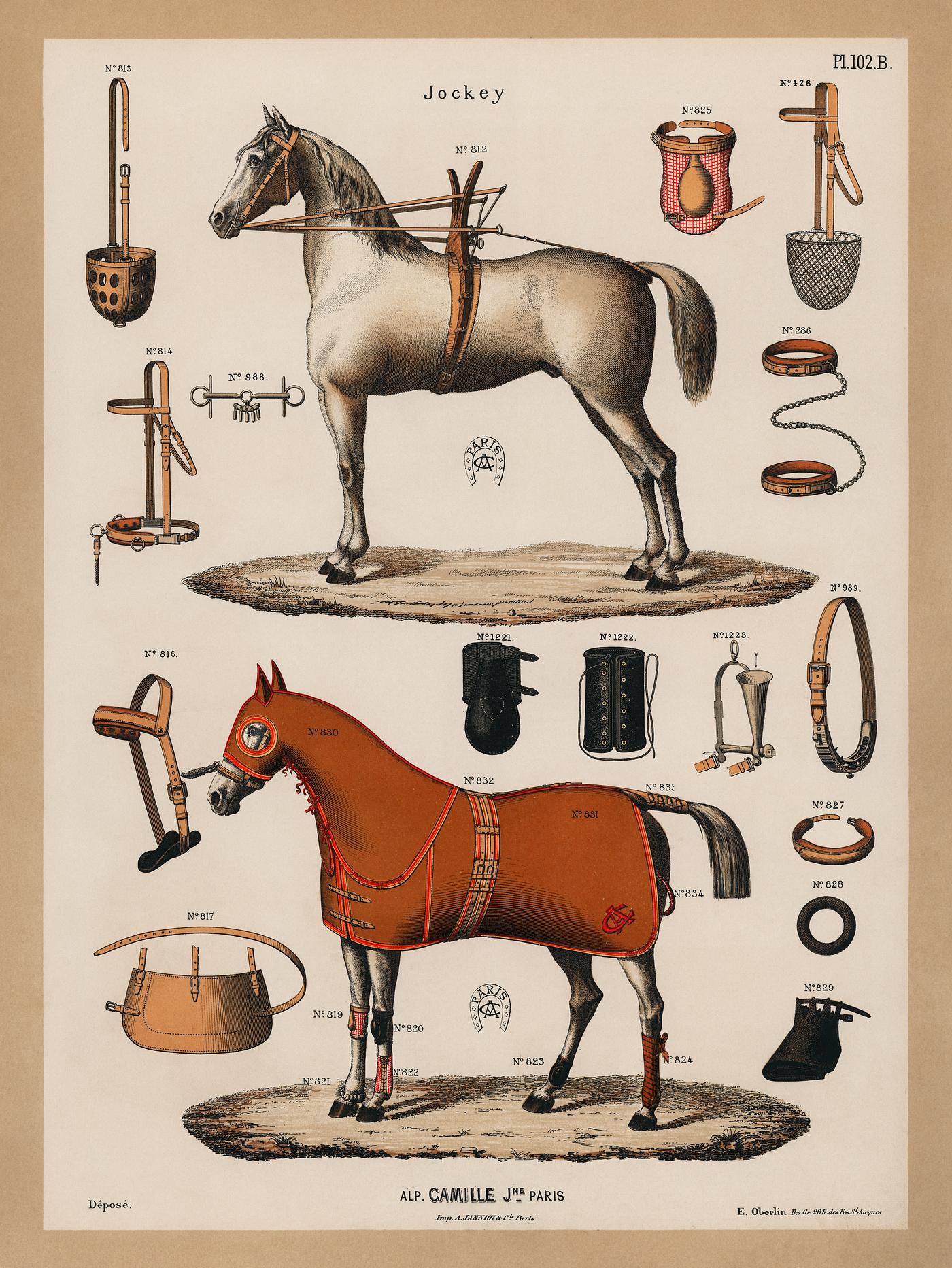 A chromolithograph of horses with antique horseback riding equipments (1890), from an antique horseback riding catalog.... A chromolithograph of horses with antique horseback riding equipments (1890), from an antique horseback riding catalog....
